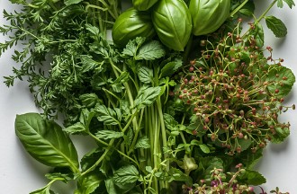 Hierbas y microgreens